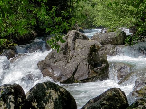 Free Images Nature Forest Rock Waterfall Wilderness River