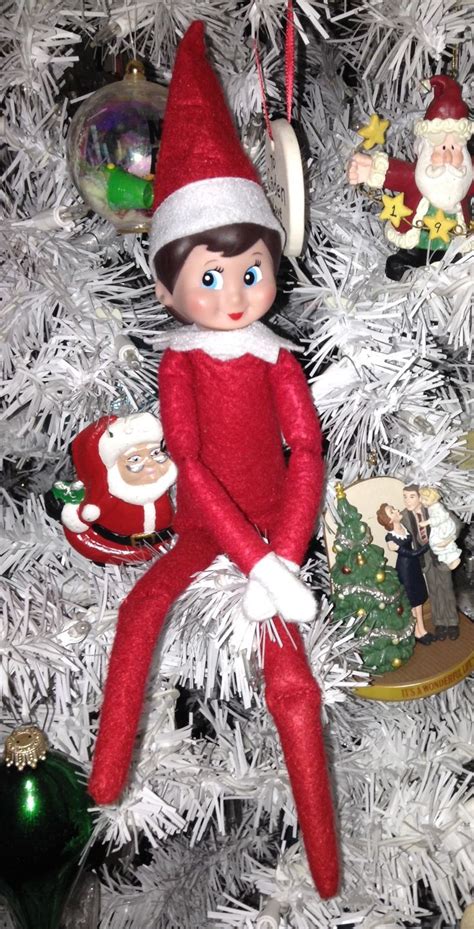 Pin By Mary Ann Ritchie On Elf On The Shelf Ideas Christmas Elf