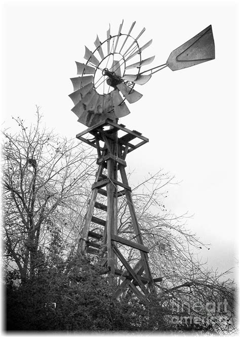 Farm Windmill Black And White Photograph By Carol Groenen