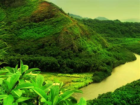 Wonderful Green Landscape Tropical Green Vegetation River Mountains