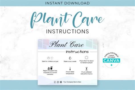 Plant Care Instructions Card Editable Graphic By Snapybiz · Creative