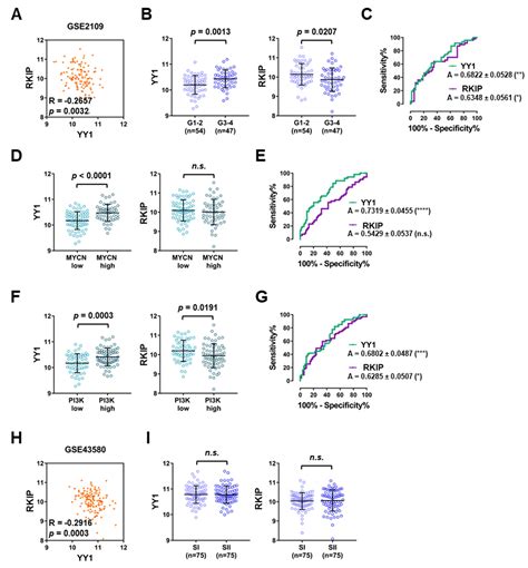 Cancers Free Full Text Computational Analyses Of Yy And Its Target