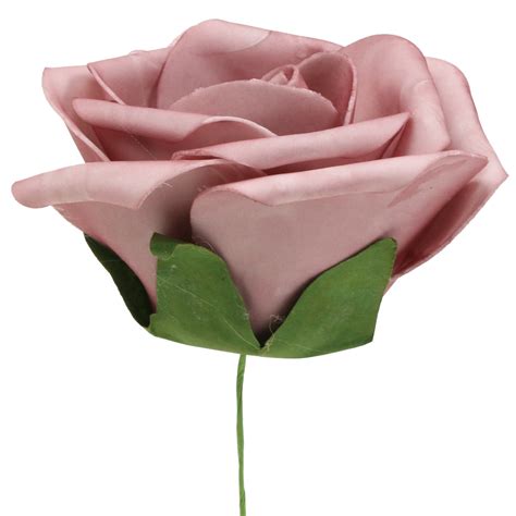 Check spelling or type a new query. Foam Rose Altrosa Ø15cm 4St preiswert online kaufen