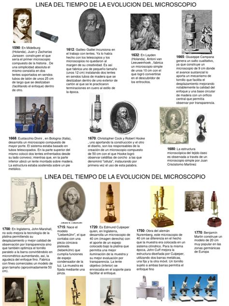 Linea Del Tiempo De La Historia Del Microscopio Paflo