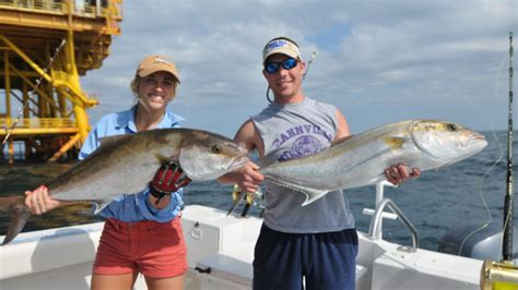 Dont Plan Any Amberjack Trips In May Says Noaa