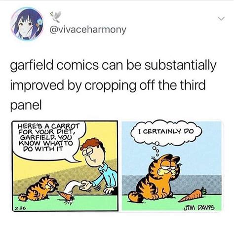 The Best Garfield Memes Memedroid