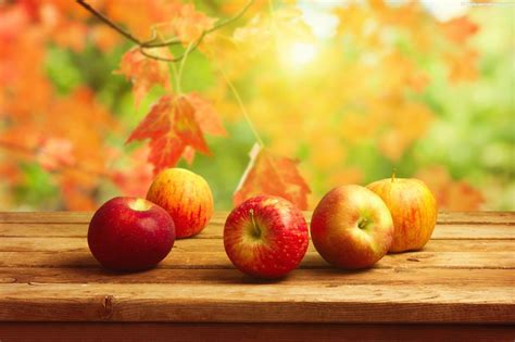 Autumn Apples Wallpapers Top Free Autumn Apples Backgrounds