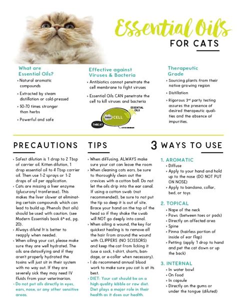 Essential oils that are not safe for cats lemon oil is great for diffusing around dogs to get rid of unwanted odours. Essential Oils for Cats Tear Pad | Are essential oils safe ...