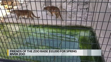 Friends Of Zoo Raise 10000 For Spring River Zoo In Roswell