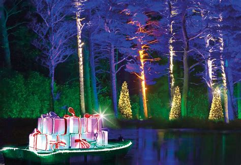 Christmas At Bedgebury Will Be A Forest Of Festive Lights In Kent For 2018