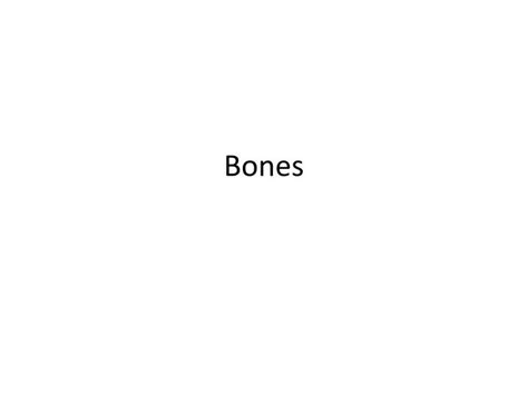 Ppt Bones Powerpoint Presentation Free Download Id3111193