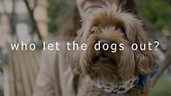 Save the dogs! (promo) - YouTube