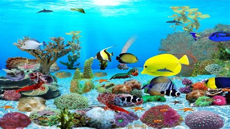 48 Free 3d Aquarium Screensaver For Windows 10  Aesthetic