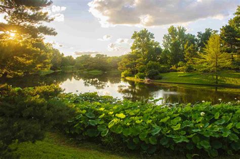 Top Things To Do At The Missouri Botanical Garden