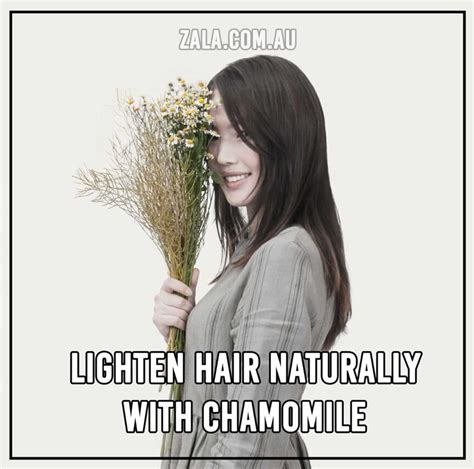 Lighten Hair Naturally With Chamomile Zala Us