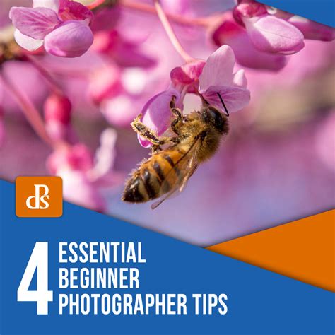 Four Essential Beginner Photographer Tips