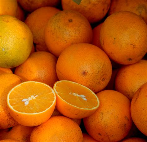 Oranges For Sale Free Stock Photo Public Domain Pictures