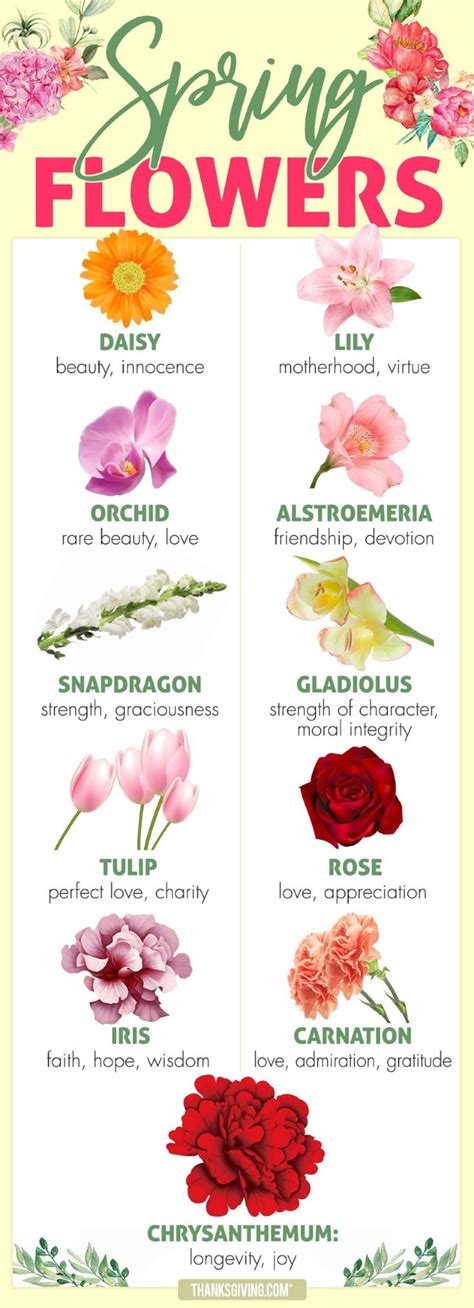 Pin By Kara Hryszko On Flowers Flower Meanings Spring Flowers Types