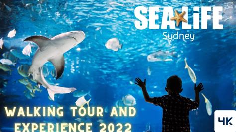 4k Sydney Sea Life Aquarium 2022 Sydney Travelaustralia