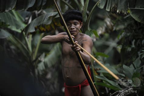 アマゾン孤立先住民、違法採金者6人を弓矢で射殺 写真1枚 国際ニュース：afpbb News