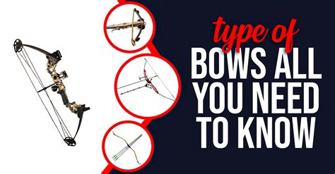 Types Of Bows All You Need To Know Master Of Arrow