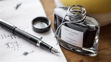 The Best Fountain Pens For Beginners In 2022 From Pilot To Lamy Robb