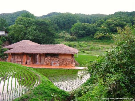 Traditional Korean Farm House Jangseong South Korea