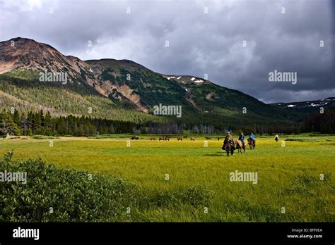 Trail Riding In The Rainbow Mountains Of Tweedsmuir Park In British