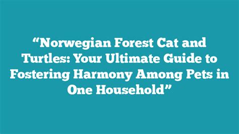 Norwegian Forest Cat And Turtles Your Ultimate Guide To Fostering