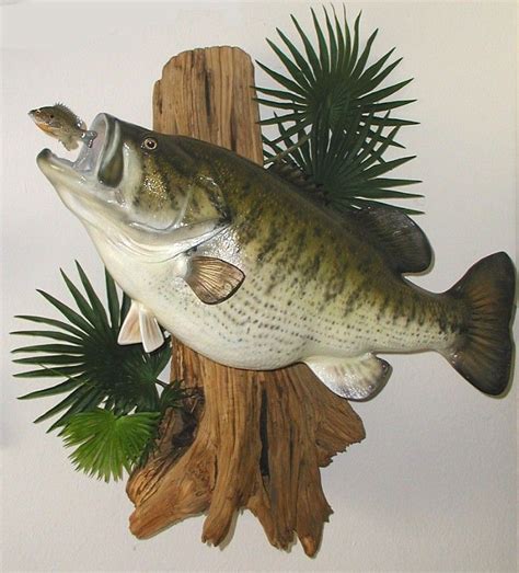 Image Result For Largemouth Bass Mounts Taxidermy Decor Taxidermy