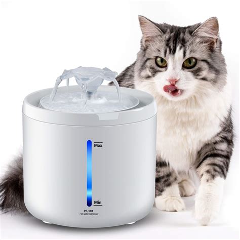 Buy Fyd Pet Fountain 2l Large Automatic Cat Water Fountain Drinking