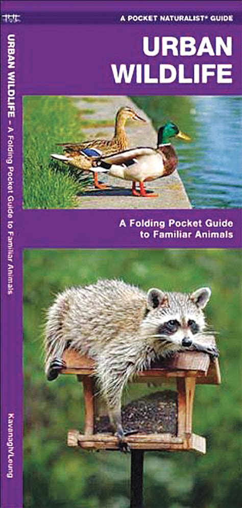 Urban Wildlife Pocket Naturalist® Guide