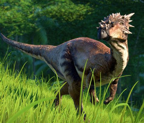 Dracorex Jurassic World Evolution Wiki Fandom