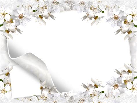 White Flower Frame Png Picture Png Mart