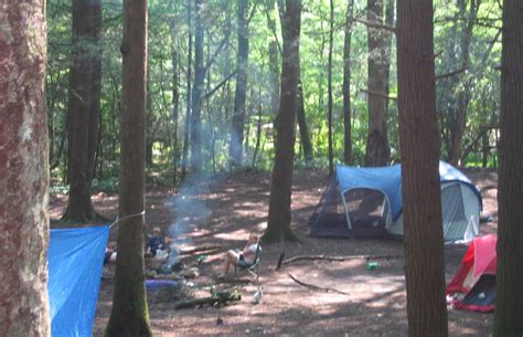 Camping In National Forests In North Carolina Carolina Outdoors Guide
