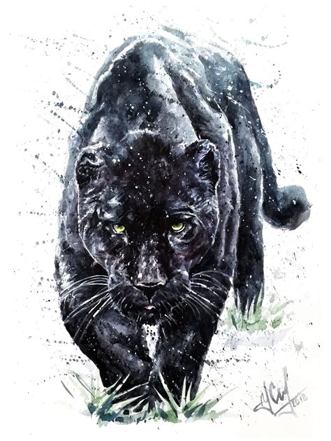 Black Jaguar Drawing