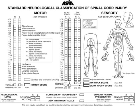 Traumatic Spinal Cord Injury Musculoskeletal Key
