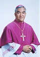 Most Rev. GUILLERMO V. AFABLE, D.D. | CBCP Online