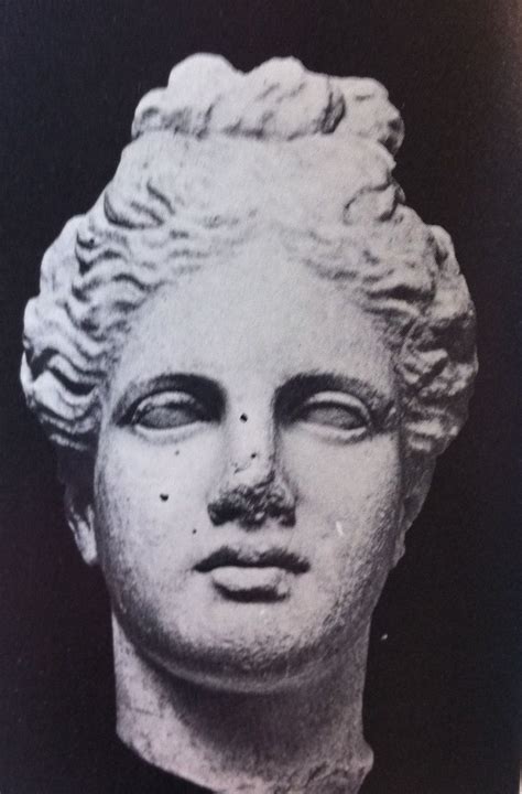 Head Of Aphrodite Statue Circa 4th C Bc From Ancient Greek Culture