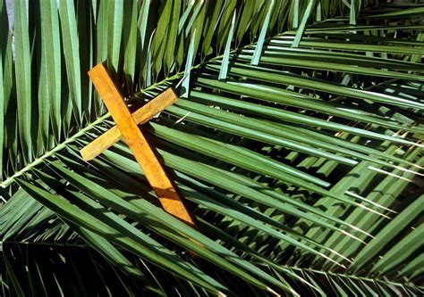 Palm Sunday April 5 2020 Online Worship Service Join Us For Worship