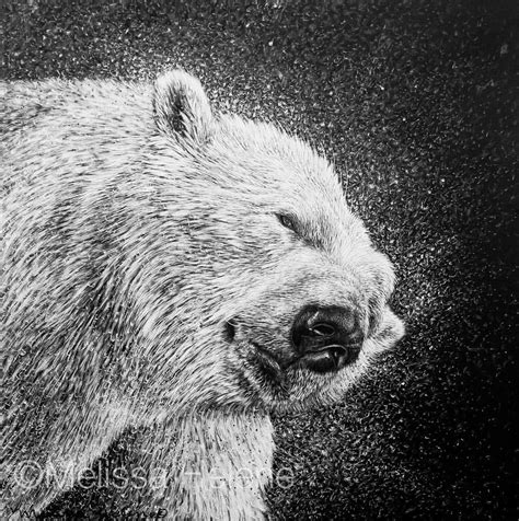 I Was Able To Finish Up This Polar Bear Piece Over The Weekend Polar