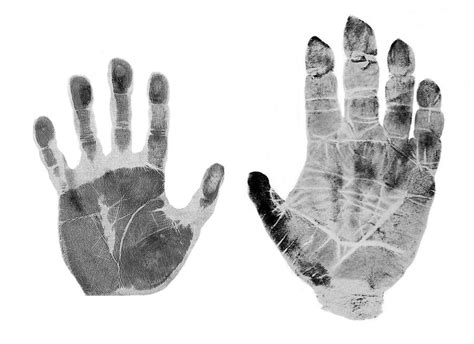 Human And Gorilla Handprint Photograph By Sheila Terry Fine Art America