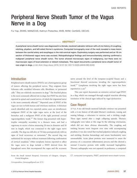 Pdf Peripheral Nerve Sheath Tumor Of The Vagus Nerve In A Dog