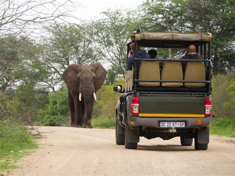 4 Awesome Safari Trips That Will Change Your Life