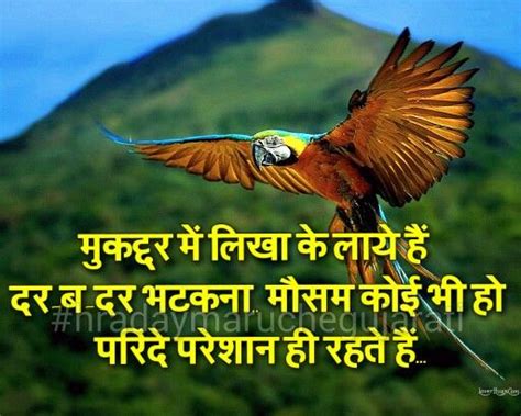 Watch best quotes on education in hindi. Hindi quote | Hindi quotes, Short quotes, Quotations