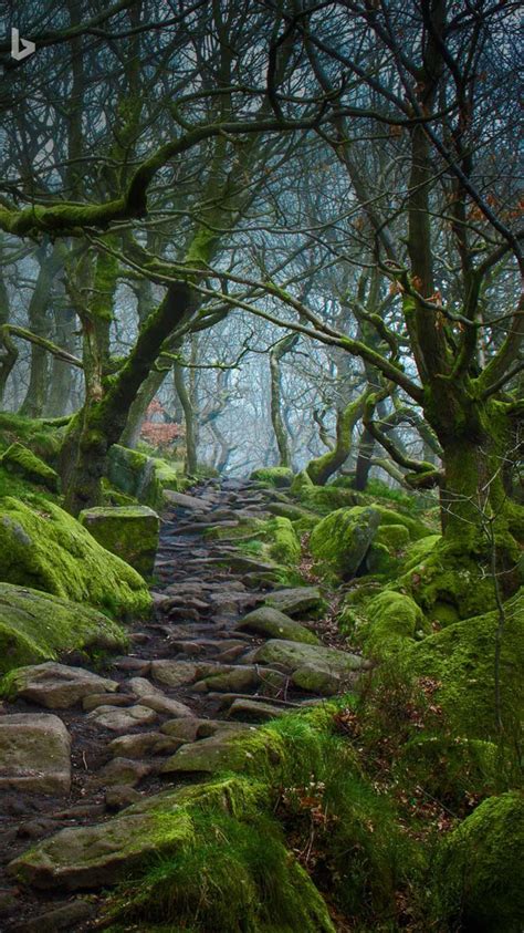 Forest Path In Padley Gorge Derbyshire England C James