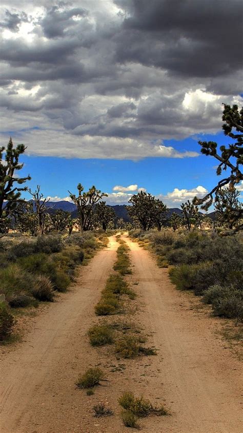 Mojave Desert Wallpapers Wallpaper Cave