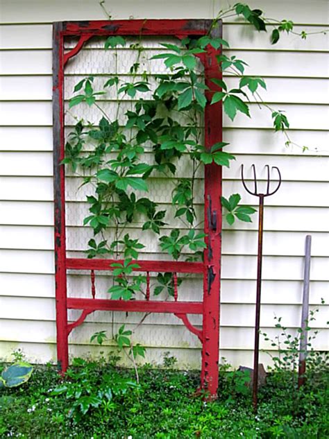 Unique Trellis Ideas