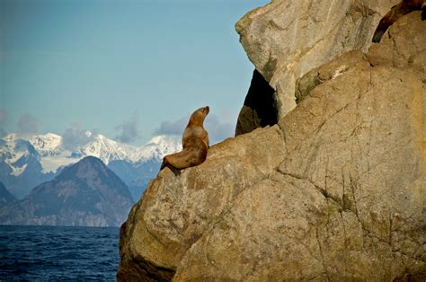 Alaska Discovery Tour — Planet Earth Adventures Guided Tours And Custom