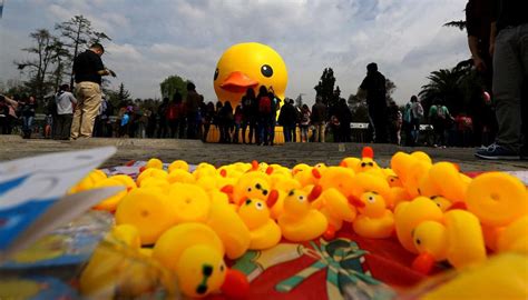 YouTube Así se rompió el pato de hule más grande del mundo en Chile